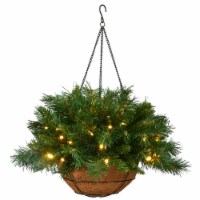 National Tree Tiffany Fir Hanging Basket With Warm White Led Battery- 20 in.