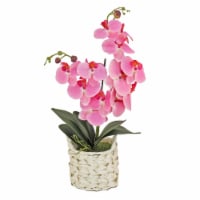 21 Pink Orchid Flower in White Basket