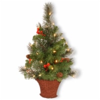National Tree Company Pre-Lit Artificial Mini Christmas Tree, Green, Crestwood Spruce, White