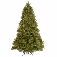 National Tree 7.5' Artificial Downswept Douglas Fir Christmas Tree w/ LED Lights