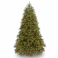 National Tree Company 7.5 ft. Jersey Fraser Fir Medium Tree with Dual Color LED Lights