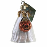 Old World Christmas Trick Or Treat Pooch Glass Jack-O-Lantern 26088.