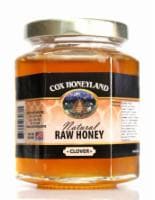 Cox's Honey Pure Raw Honey Perspective: front