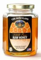 Cox's Honeyland Pure Honey Perspective: front