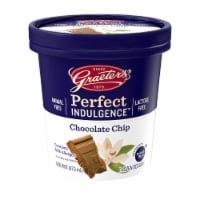 Graeter's Perfect Indulgence Chocolate Chip Dairy Free Frozen Dessert Perspective: Main