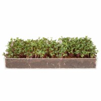 Window Garden Cat Grass Grow Kit - Includes Seeds, Soil, Tray, Sprayer