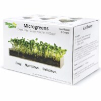 Window Garden Sunflower Microgreens Refill – 3 Pack, 15” x 6” Planter Tray