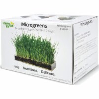 Window Garden Wheatgrass Refill 3 Pack - Organic Microgreen, 15 x6  Planter Tray, Soil+Seed