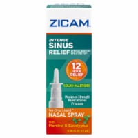 Zicam® Intense Sinus Relief Nasal Spray Perspective: Main