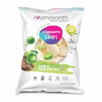 I Amaranth Lime Himalayan Salt Chips Perspective: Main