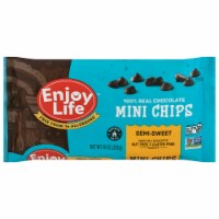 Enjoy Life Chocolate Chip Wheat Free Gluten Free Dairy Free Semisweet Perspective: Main