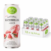 Coco Joy Watermelon Juice Perspective: Main
