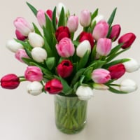 Tulip Bouquet Perspective: Main