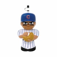 Chicago Cubs Plastic 3D Character Water Bottle