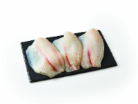 Star Fisheries Fresh Tilapia Fillets