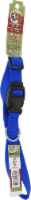 Alliance Blue Medium Dog Collar