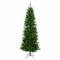 6.5' x 32  Salem Pencil Pine 493Tips