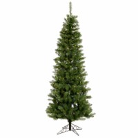6.5' x 32  Salem Pencil Pine DuraLt 250C