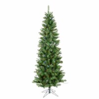 7.5' x 36  Salem Pencil Pine 350LED Mult