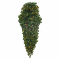 36  Grand Teton Teardrop 50WmWhtLED - G125437LED