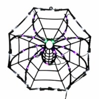 35Lt LEDSpider Web Window Decor 17x17  - X490456
