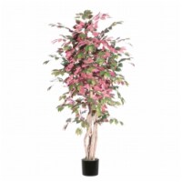 6' Capensia Executive Tree - TEX0360-07
