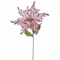 31  Pink Poinsettia, 15  Flower 3/Bag - OF160109