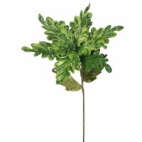 31  Lime Poinsettia, 15  Flower 3/Bag - OF160113