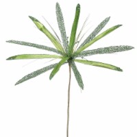 24  Lime Papyrus, 20  Flower 3/Bag - OF160513