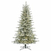 9' x 64  Frst Eastern Fir 800LED WmWht - G160881LED