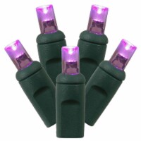 50Lt LED Purple/GW WA EC Set 1Pc 6 x25'L - X6G6506PBG