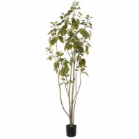 6' Cotinus Coggygria Tree w/Pot-Green - TB170172