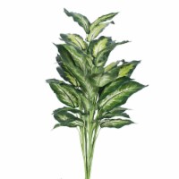 Vickerman TP170236 Marble Dieffenbachia Plant X5 Everyday Tree - 3 ft.