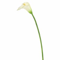 28  Ivory Calla Lily Large Stem - FK171402