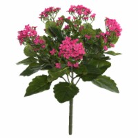 17.25  Hot Pink Kalanchoe Bush - FL170104
