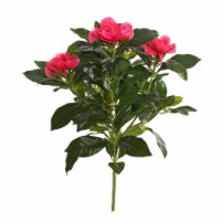 14.5  Beauty Gardenia Bush - FL170301