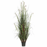 24  Eucalyptus Grass Potted - TN170224