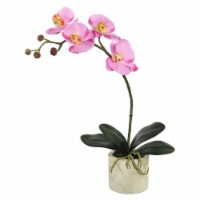 20  Potted Orchid Lavender - FC170501