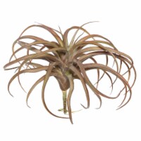 10.5  Red Tillandsia Pick - FE172001