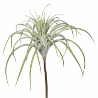 20.5  Tillandsia Pick - FE172101