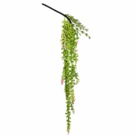 26  String of Pearls-Green (PK/3) - FH170801