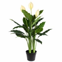 Vickerman TA181501 37 in. Green Peace Lily in Pot with 27 Leaves