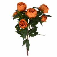 Vickerman FD182376 23 in. Coffee Peony Bush with 6 Flowers