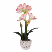 Vickerman FN181201 24 in. Pink Amaryllis in Pot