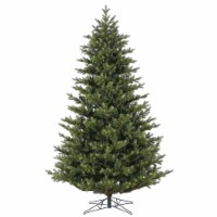 6.5' X 52  Welch Fraser Fir 2645T