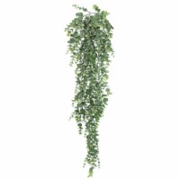 32  Hanging Mini Eucalyptus Bush Pk/2 - FF170101-2