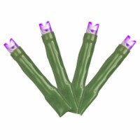 144Lt Led Purple Cluster Set Gw E-C 24'L