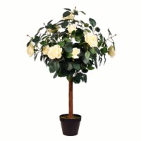3' Potted White Rose Tree x14 Flowers - TA191535