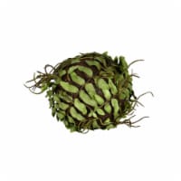 4   Green Boston Fern Ball 3/Pk - FV192301
