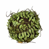5   Green Boston Fern Ball 2/Pk - FV192302